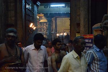 Meenakshi Temple, Madurai,_DSC_8371_H600